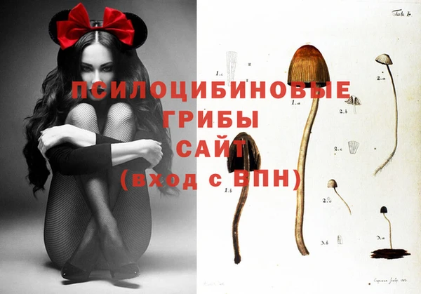 кокаин перу Ельня