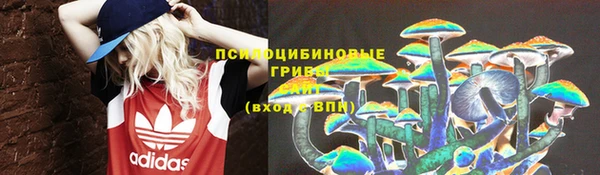 прущая мука Елабуга