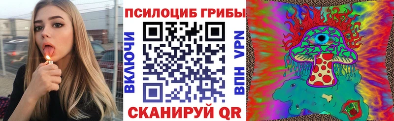 Купить  Асбест  Галлюциногенные грибы Psilocybe 